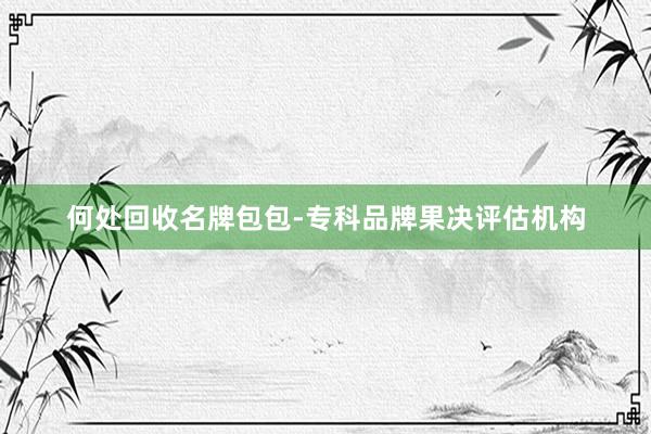 何处回收名牌包包-专科品牌果决评估机构
