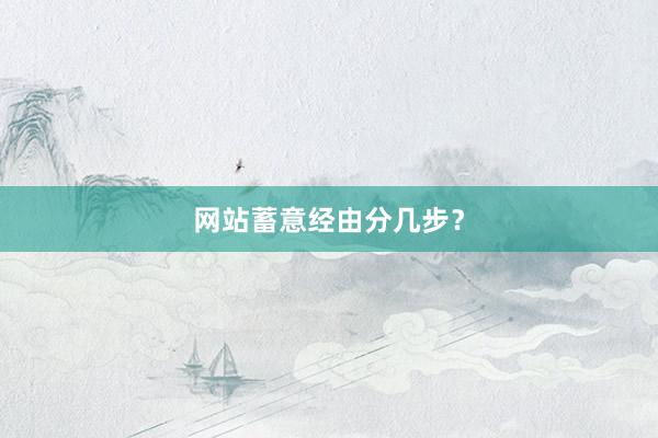网站蓄意经由分几步？