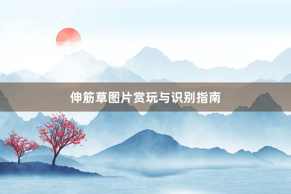 伸筋草图片赏玩与识别指南